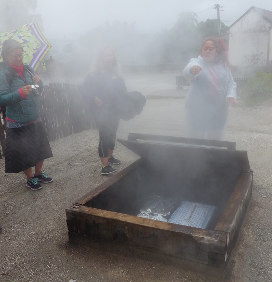 Food being steamed in the thermal village